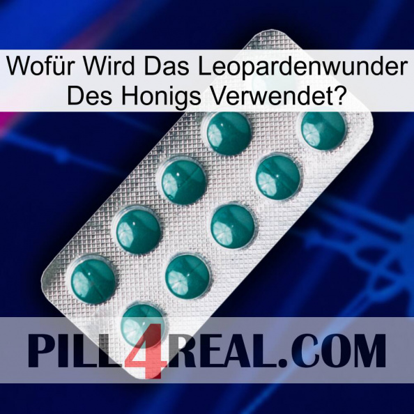 Wofür Wird Das Leopardenwunder Des Honigs Verwendete dapoxetine1
